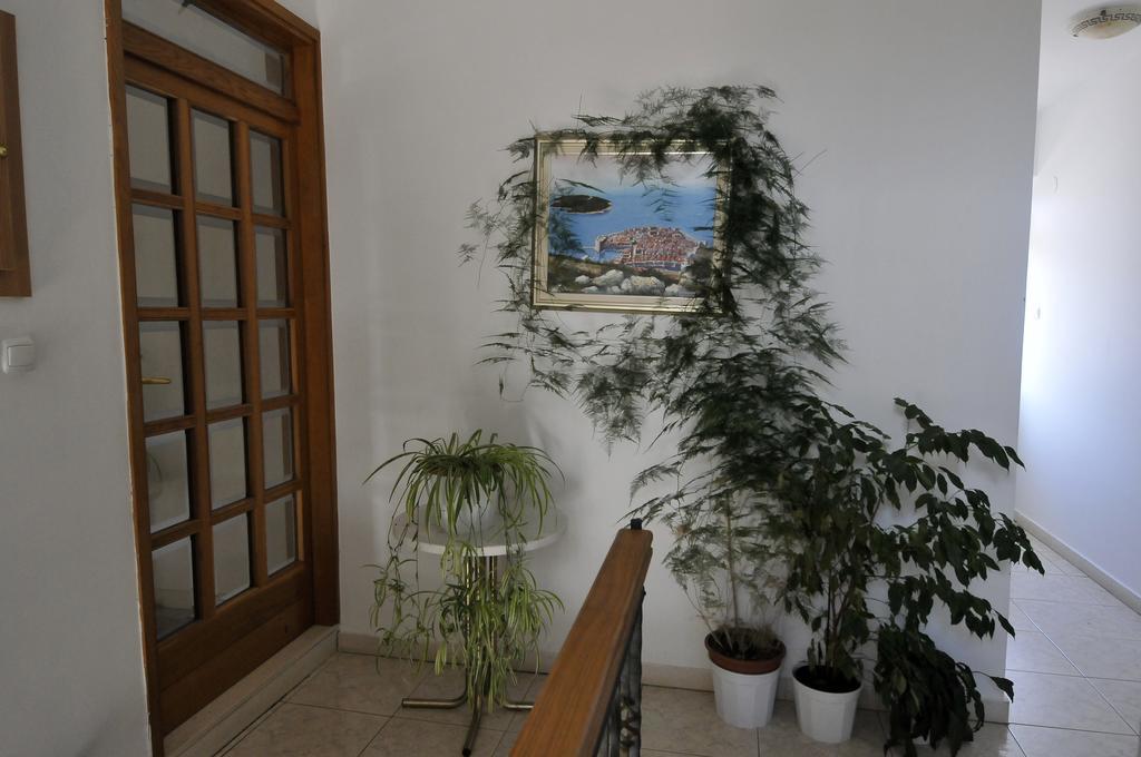 Villa Martinovic Dubrovník Exteriér fotografie