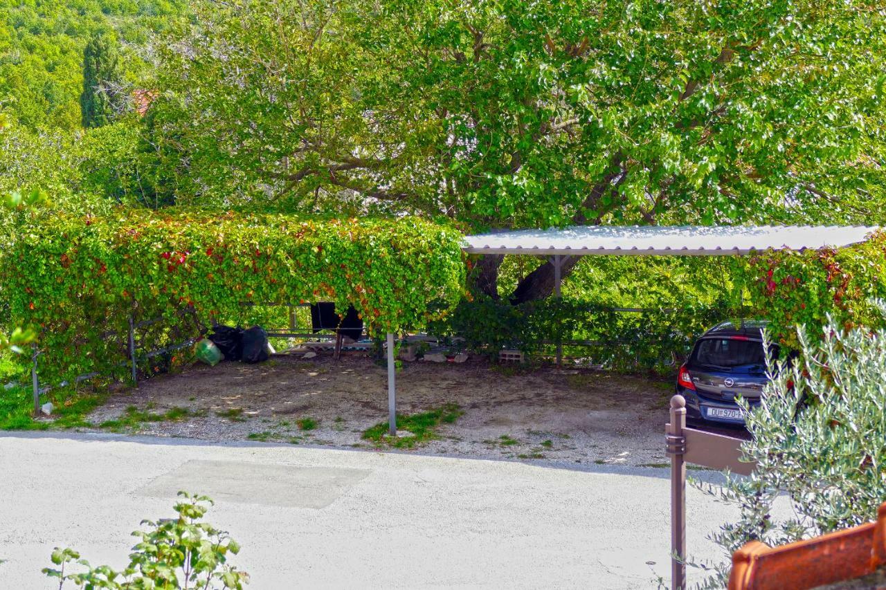 Villa Martinovic Dubrovník Exteriér fotografie